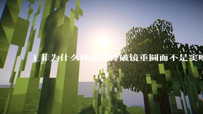 王菲为什么和谢霆锋破镜重圆而不是窦唯？