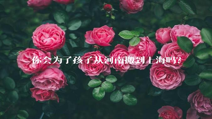 你会为了孩子从河南搬到上海吗？