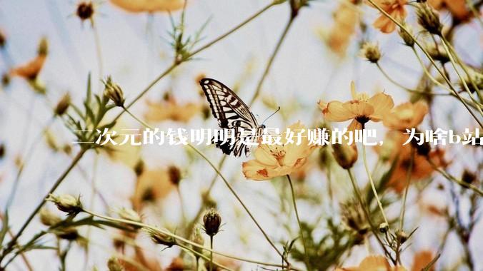 二次元的钱明明是最好赚的吧，为啥b站会亏损到现在呢？