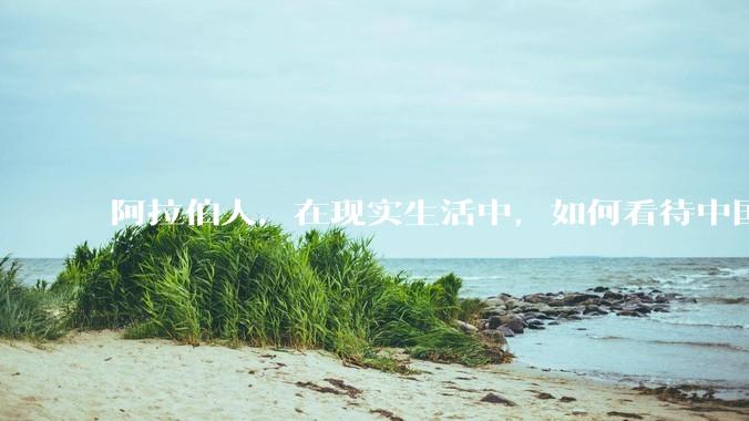 阿拉伯人，在现实生活中，如何看待中国人？