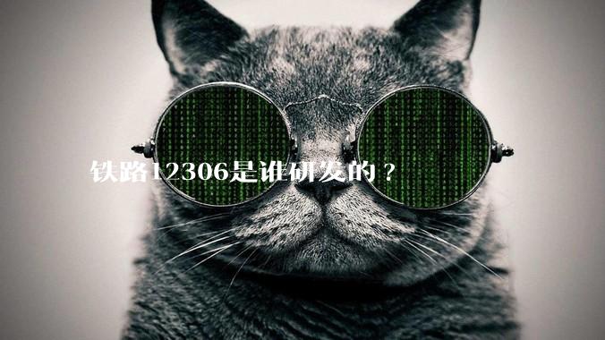 铁路12306是谁研发的?