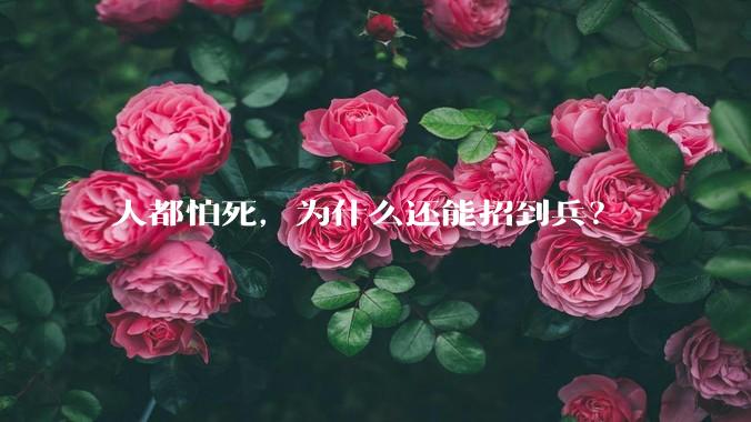 人都怕死，为什么还能招到兵？