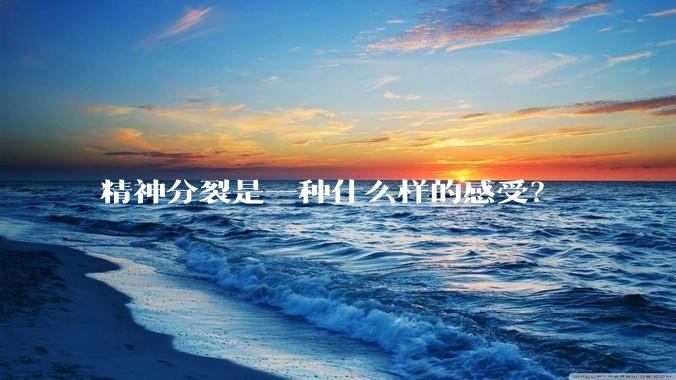 精神分裂是一种什么样的感受？