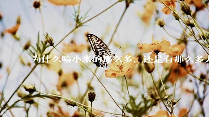 为什么喷小米的那么多，还是有那么多人买呢？