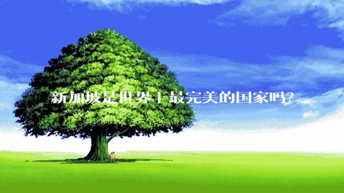 新加坡是世界上最完美的国家吗？