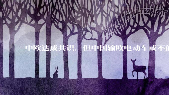 中欧达成共识，但中国输欧电动车或不能低于29万，29万的车在欧洲有竞争力吗？