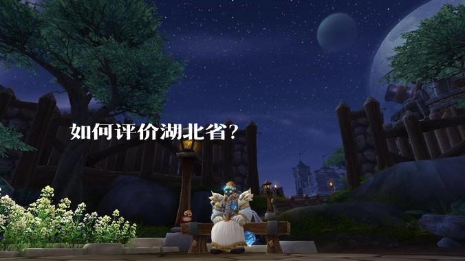 如何评价湖北省？