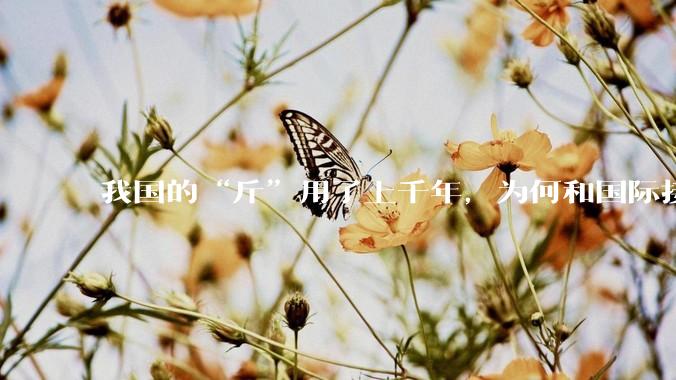 我国的“斤”用了上千年，为何和国际接轨后，恰好是500克？