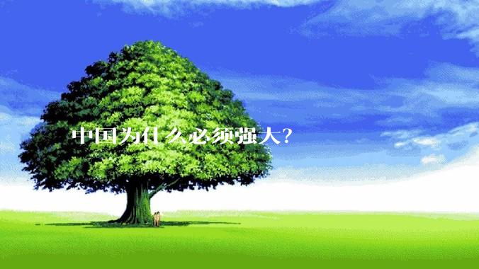 中国为什么必须强大？