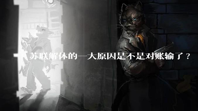 苏联解体的一大原因是不是对账输了?