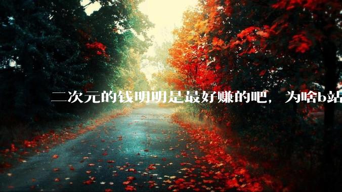 二次元的钱明明是最好赚的吧，为啥b站会亏损到现在呢？