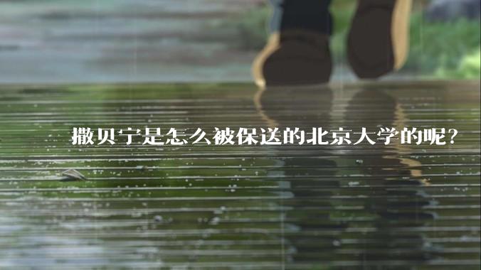 撒贝宁是怎么被保送的北京大学的呢？