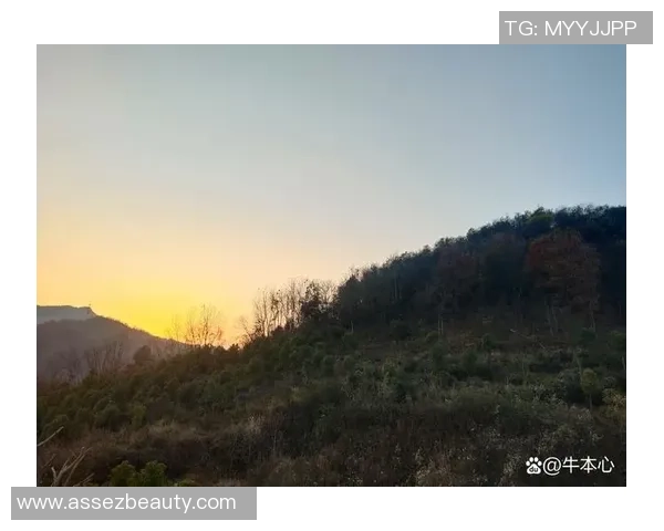 在风的指引下探寻心灵的净化与自我发现之旅 在风的指引下探寻心灵的净化与自我发现之旅