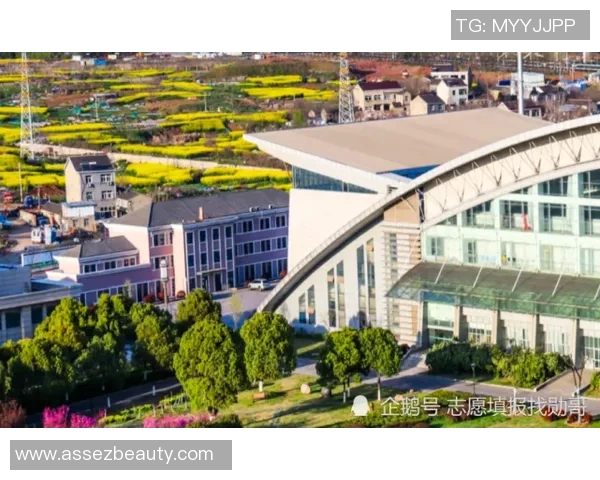 中国DOTA实力分析与全球顶尖战队的全面对比